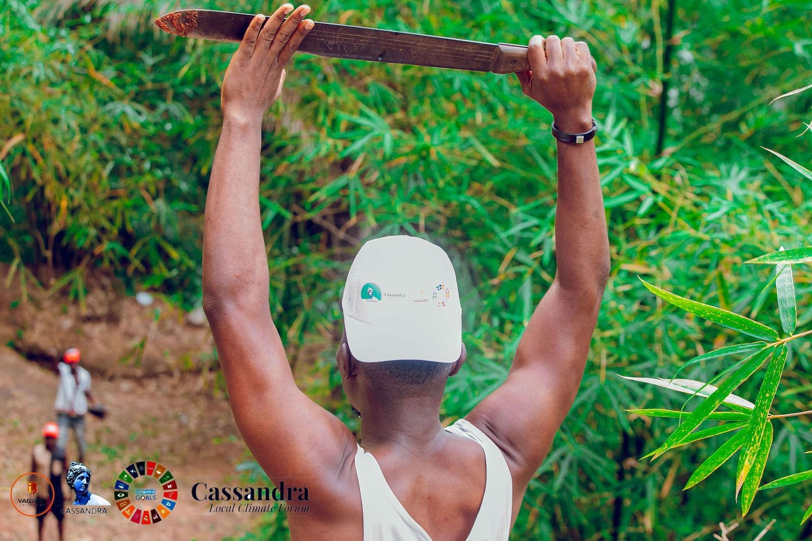 A volunteer raises a machete among bamboo during the clearing